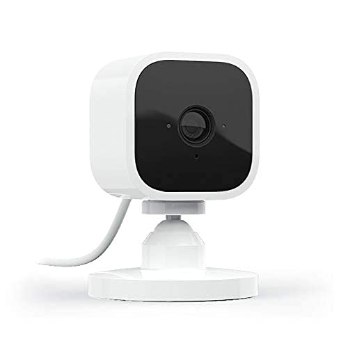 Camara Blink mini